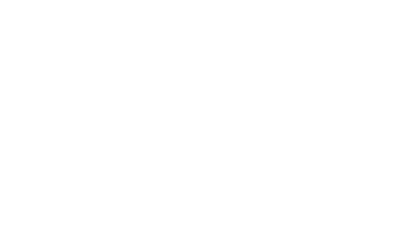 werbefink, Werbeagentur, Einsiedeln, Portfolio, Bären by Schefer